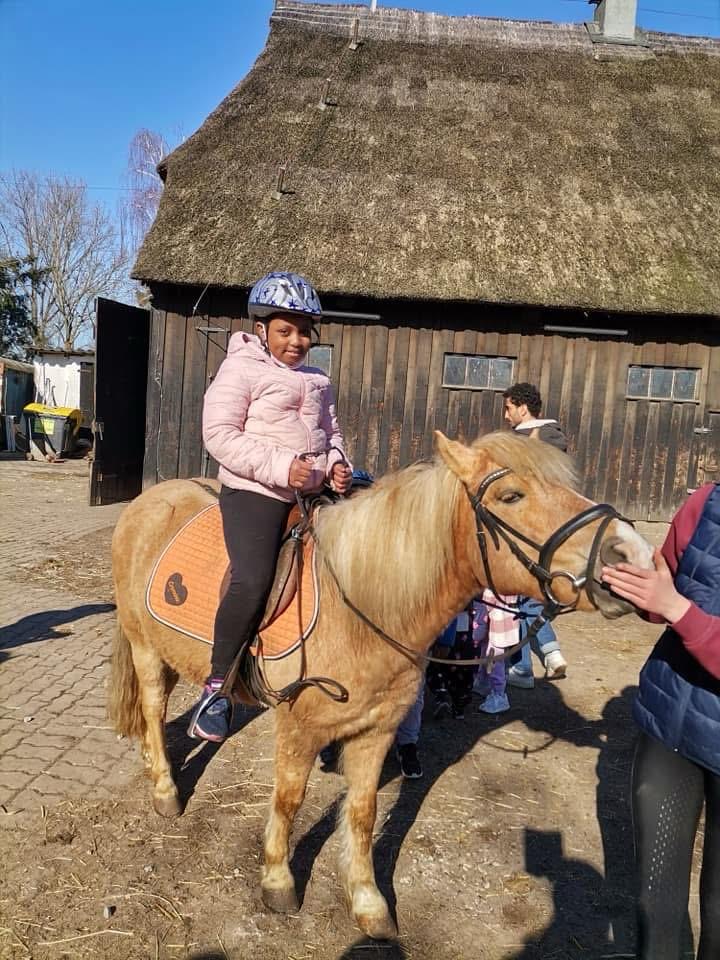 63998d36-8d9d-4e09-a3d6-c3ca092ee25a