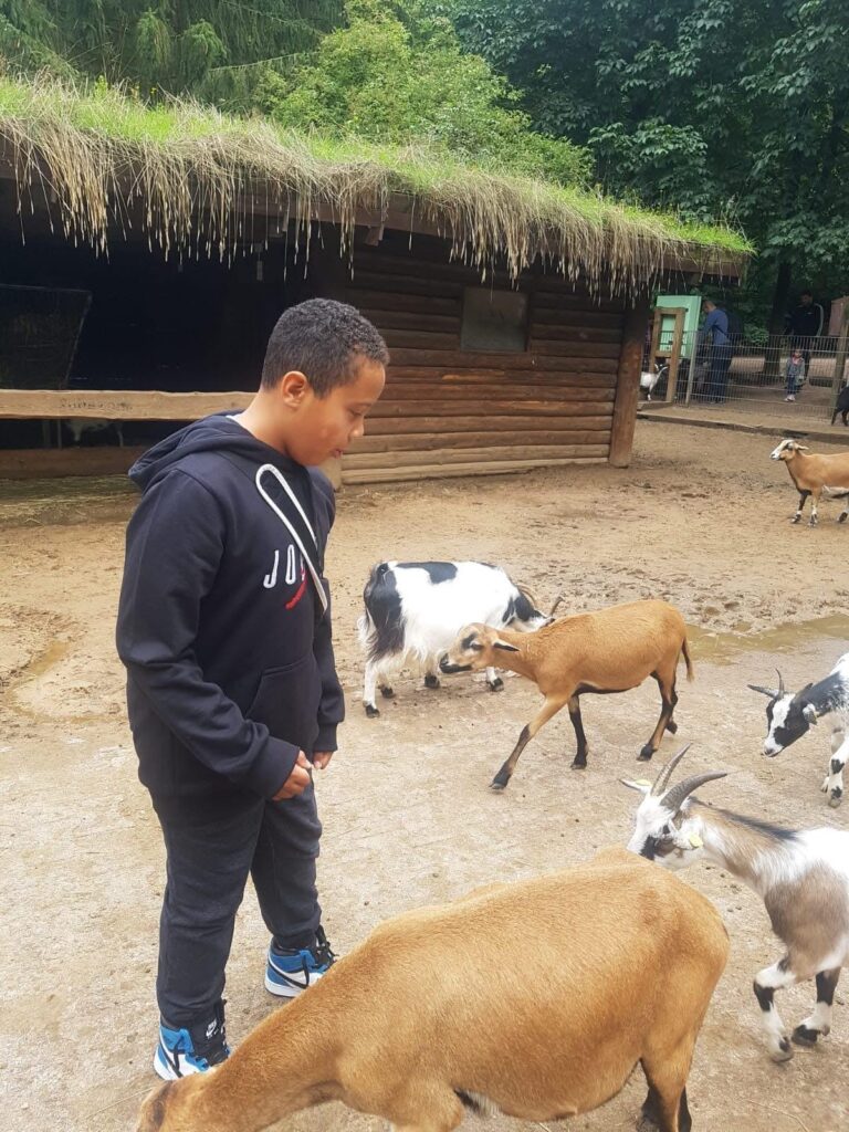 93874be9-9c08-43f2-a6b0-3b394d9cd619