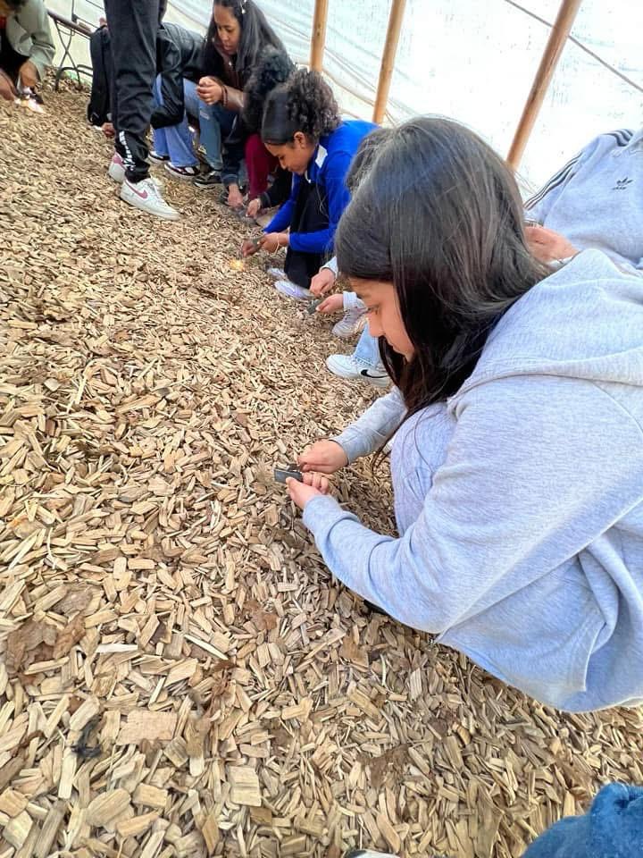 98d81b97-c1c4-4039-b5b2-dd26373edb53